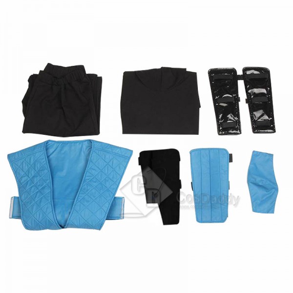 Mortal Kombat X Sub-Zero Cosplay Costume