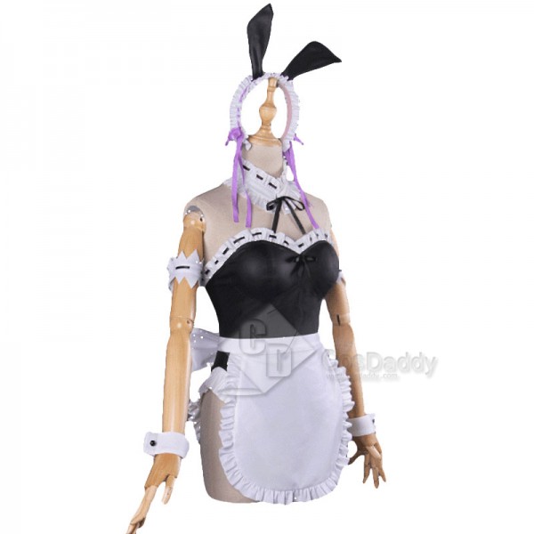 Re:Life in a different world from zero Rem Ram Sexy Bunny Girl Dress Cosplay Costume