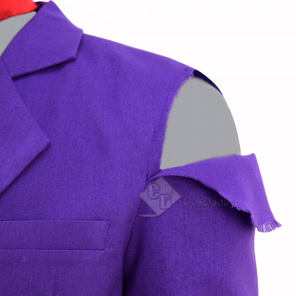 Coco (2017)  Movie Hector Light Purple Cosplay Costume
