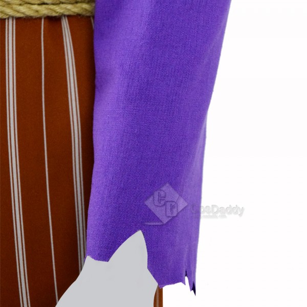 Coco (2017)  Movie Hector Light Purple Cosplay Costume