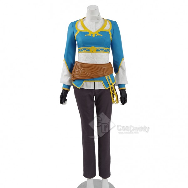 The Legend of Zelda: Breath of the Wild Princess Zelda Dress Cosplay Costume