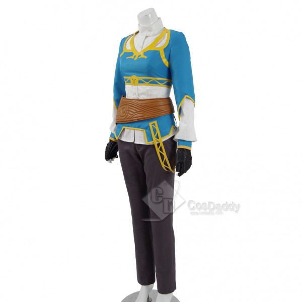 The Legend of Zelda: Breath of the Wild Princess Zelda Dress Cosplay Costume