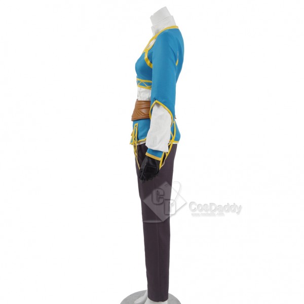 The Legend of Zelda: Breath of the Wild Princess Zelda Dress Cosplay Costume