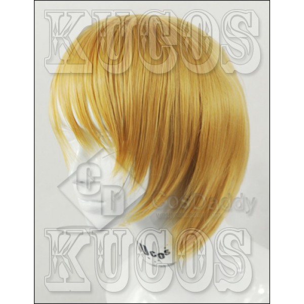 Durarara Kida Masaomi Cosplay Wig