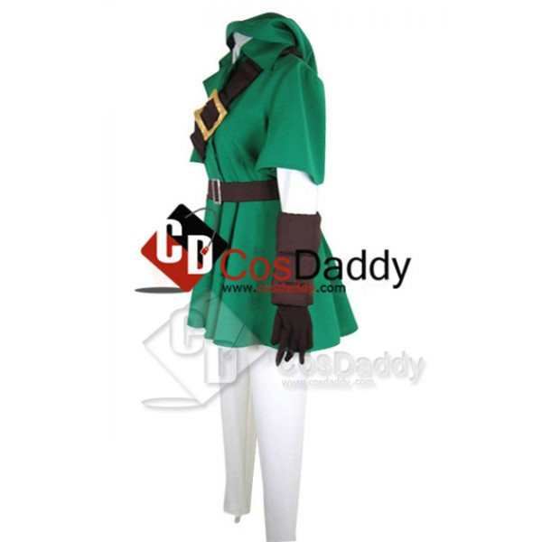 The Legend of Zelda Link Cosplay Costume 